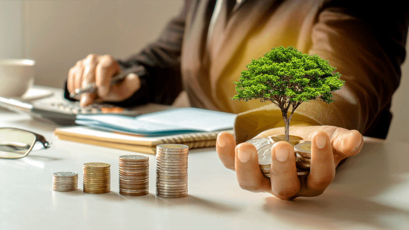 man sitting at desk working on reports with a calculator in sront of stacks of money while holding a small tree growing from money